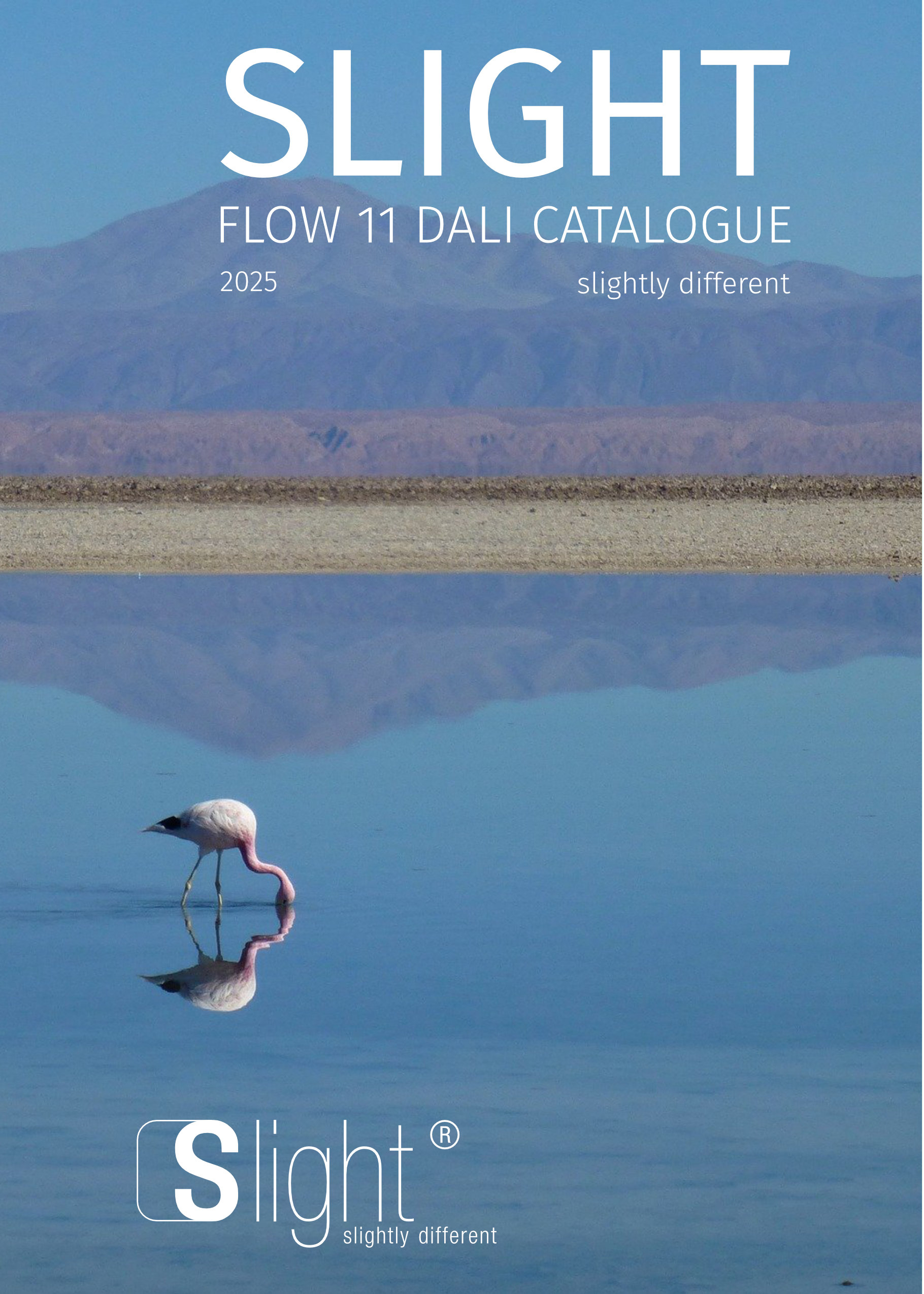 Slight WEB - Flow 11 Dali 2025 A5.pdf